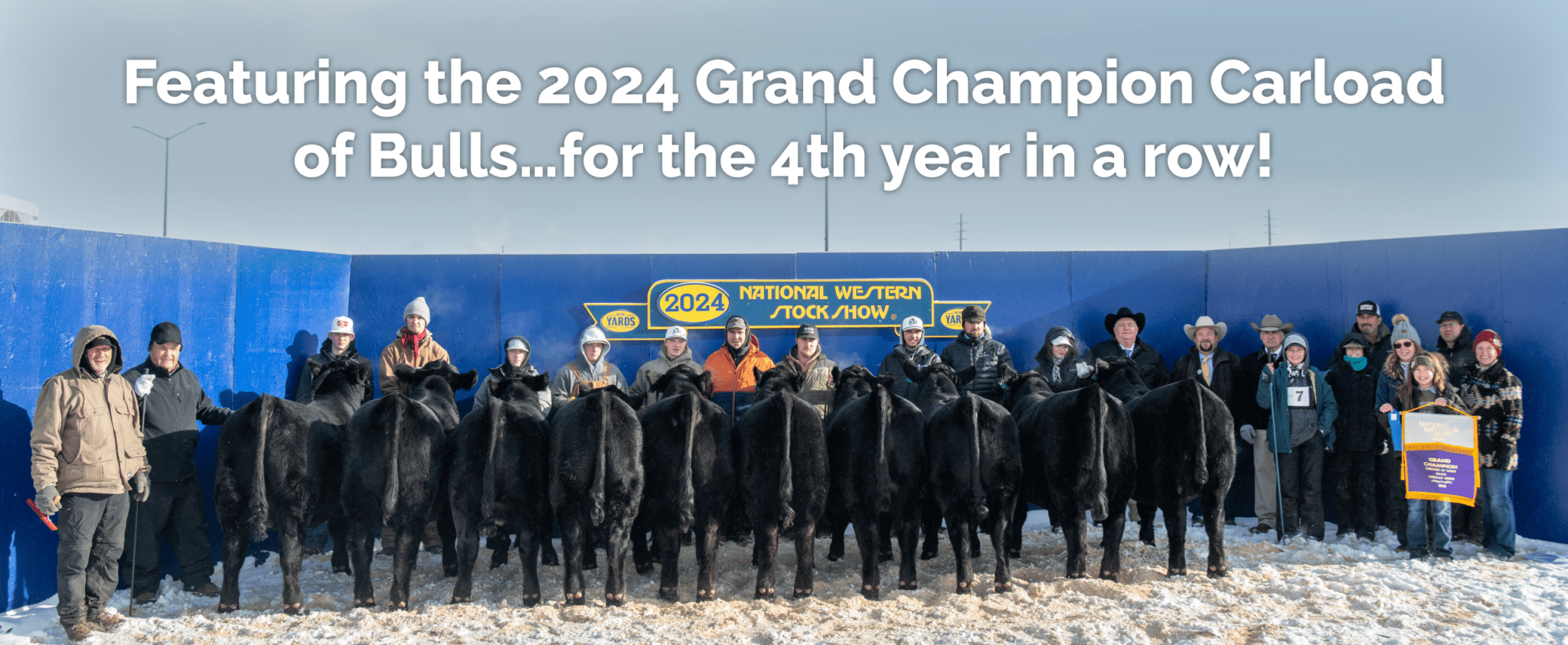 Krebs Angus Ranch Krebs Ranch