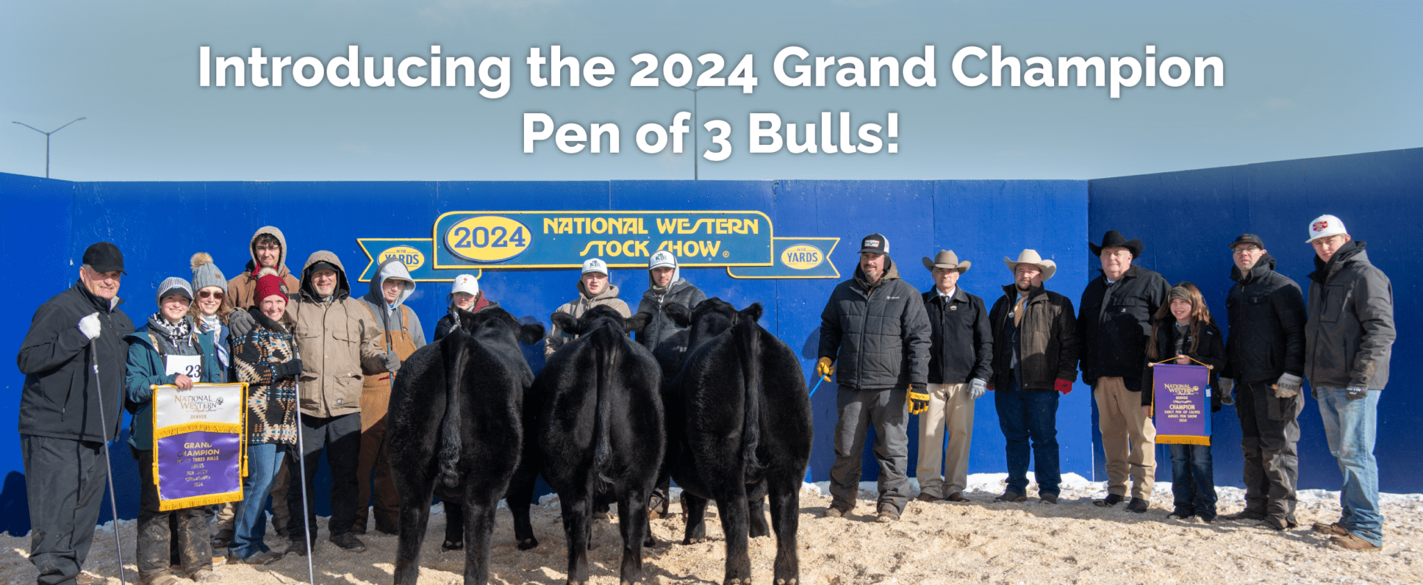 Krebs Angus Ranch Krebs Ranch