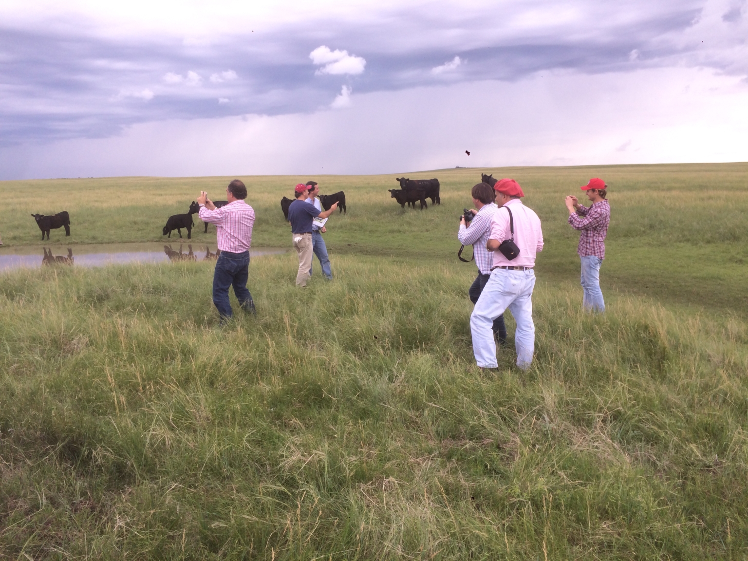 About Us Krebs Ranch