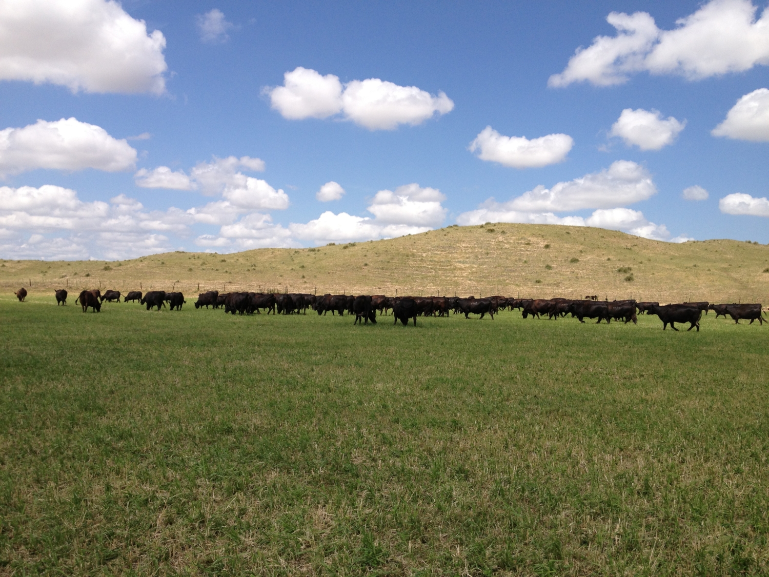 About Us Krebs Ranch