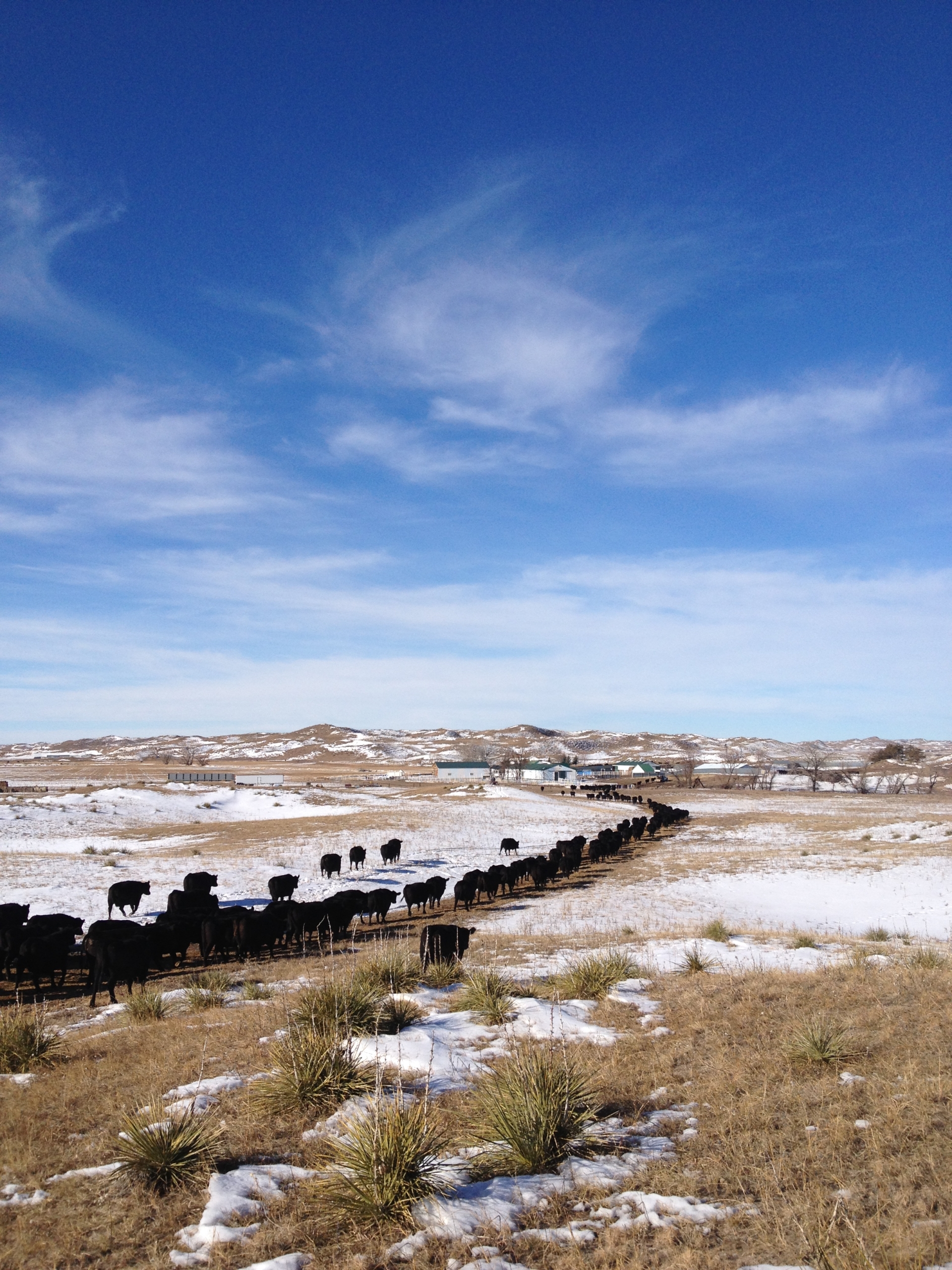 Kris Davis Ranch About Us - Krebs Ranch