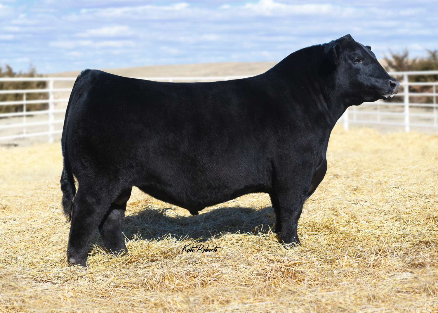 KR Quality Krebs Ranch