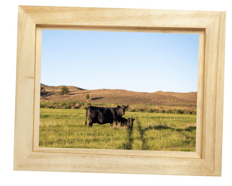 About Us Krebs Ranch